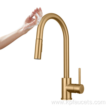 Adjustable Pull Down Brushed Kitchen Faucets
